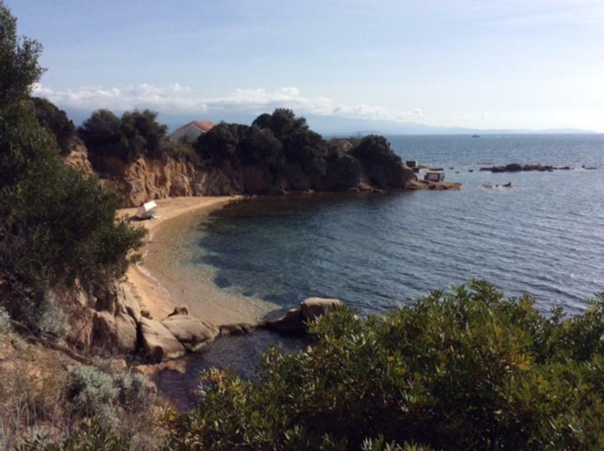 Villa D'Exception, Piscine, Vue Mer, Plage A 100M Ajaccio  Eksteriør bilde