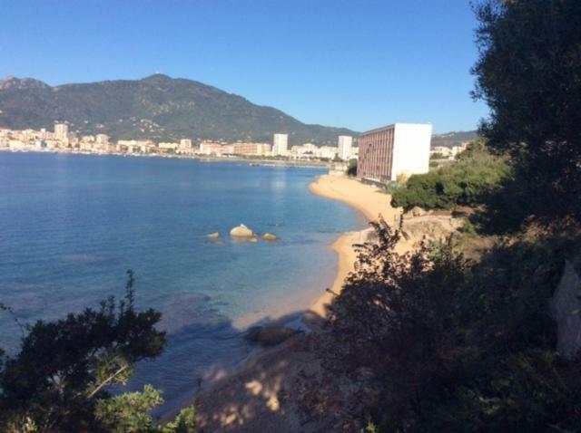 Villa D'Exception, Piscine, Vue Mer, Plage A 100M Ajaccio  Eksteriør bilde