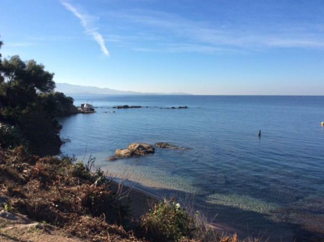 Villa D'Exception, Piscine, Vue Mer, Plage A 100M Ajaccio  Eksteriør bilde